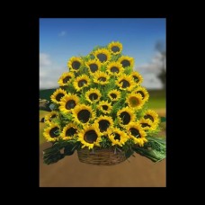 Pyramid of Sunflowers